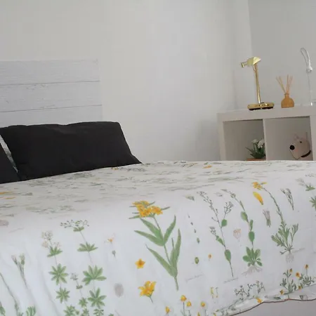 Estudio Centro Apartment *