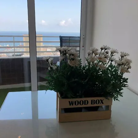 Estudio Centro Apartment *
